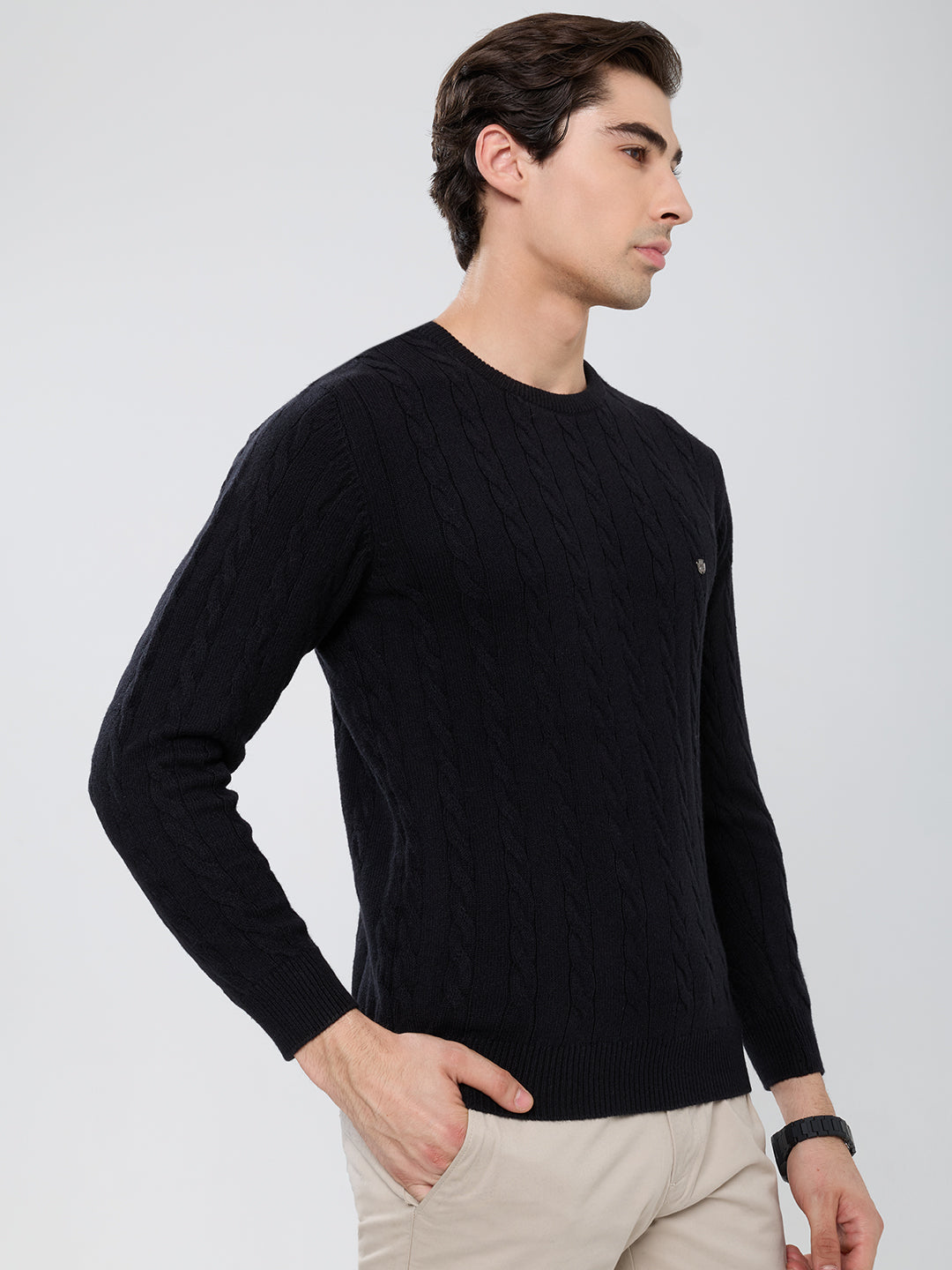 Men Black Self Design Round Neck Full Sleeve Pullover