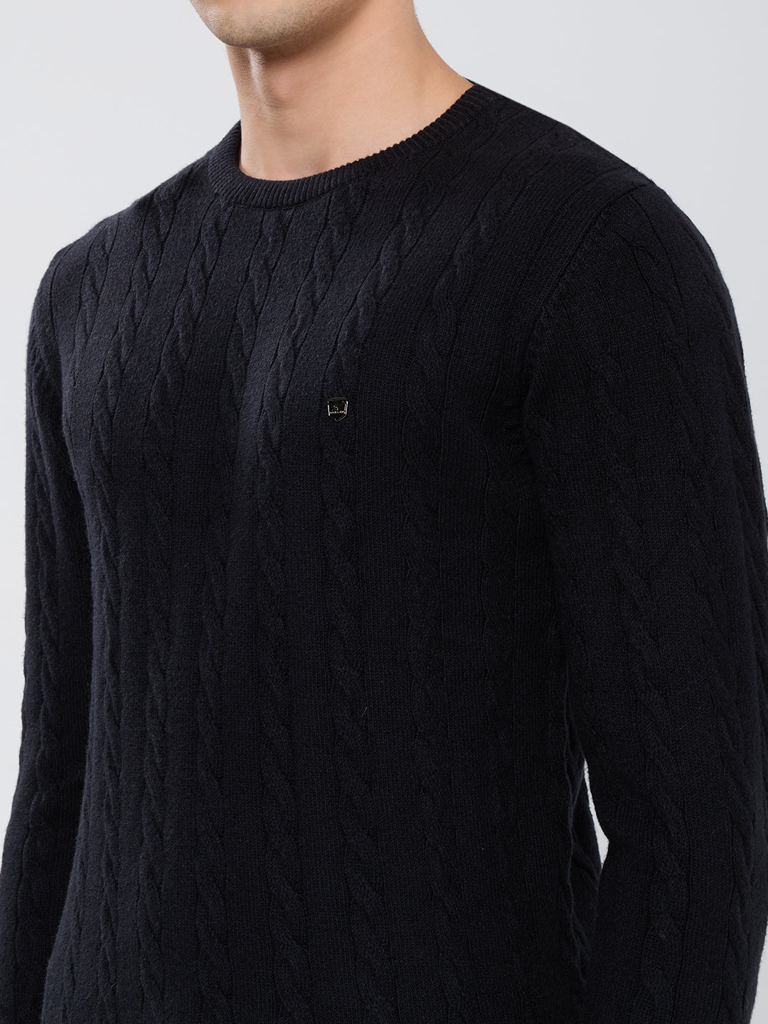 Men Black Self Design Round Neck Full Sleeve Pullover