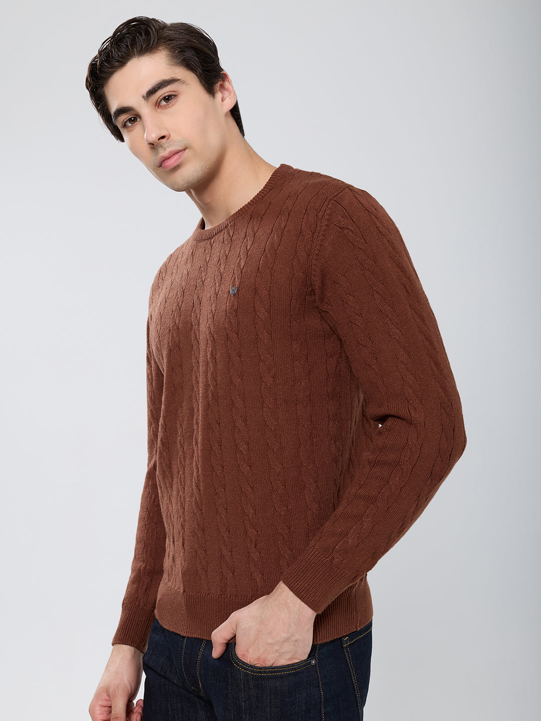Men Camel Brown Self Design Round Neck Full Sleeve Pullover
