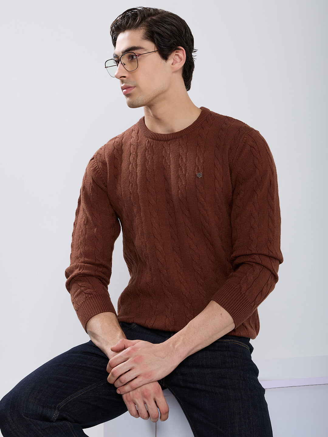 Men Camel Brown Self Design Round Neck Full Sleeve Pullover