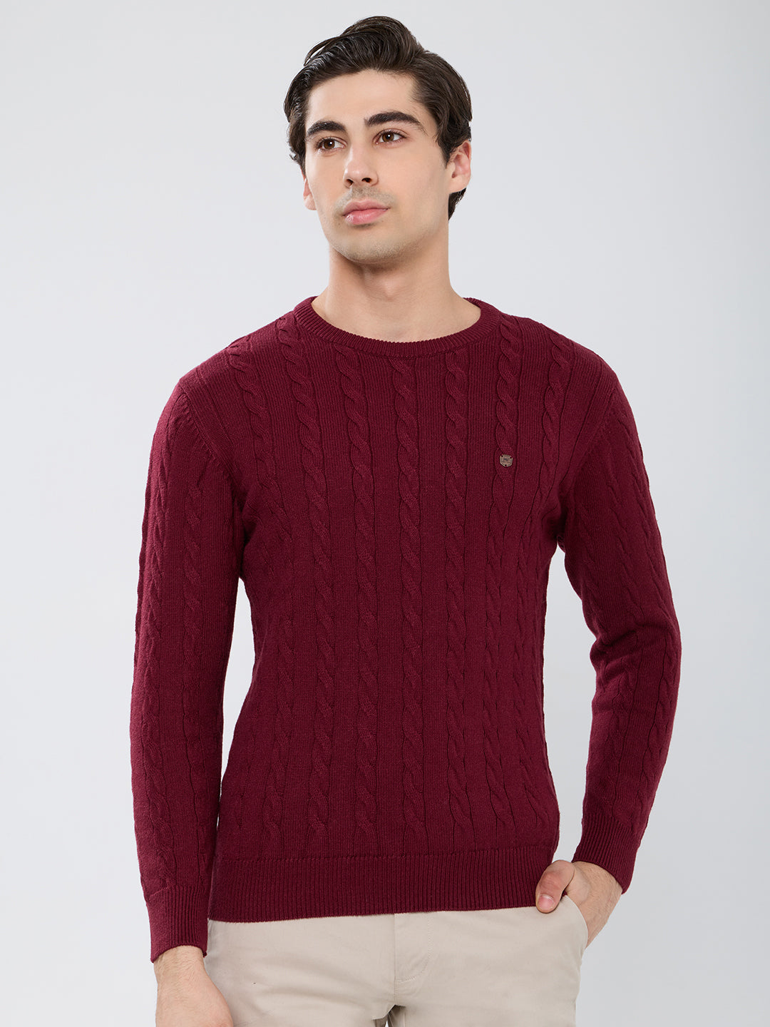 Men Maroon Self Design Round Neck Full Sleeve Pullover