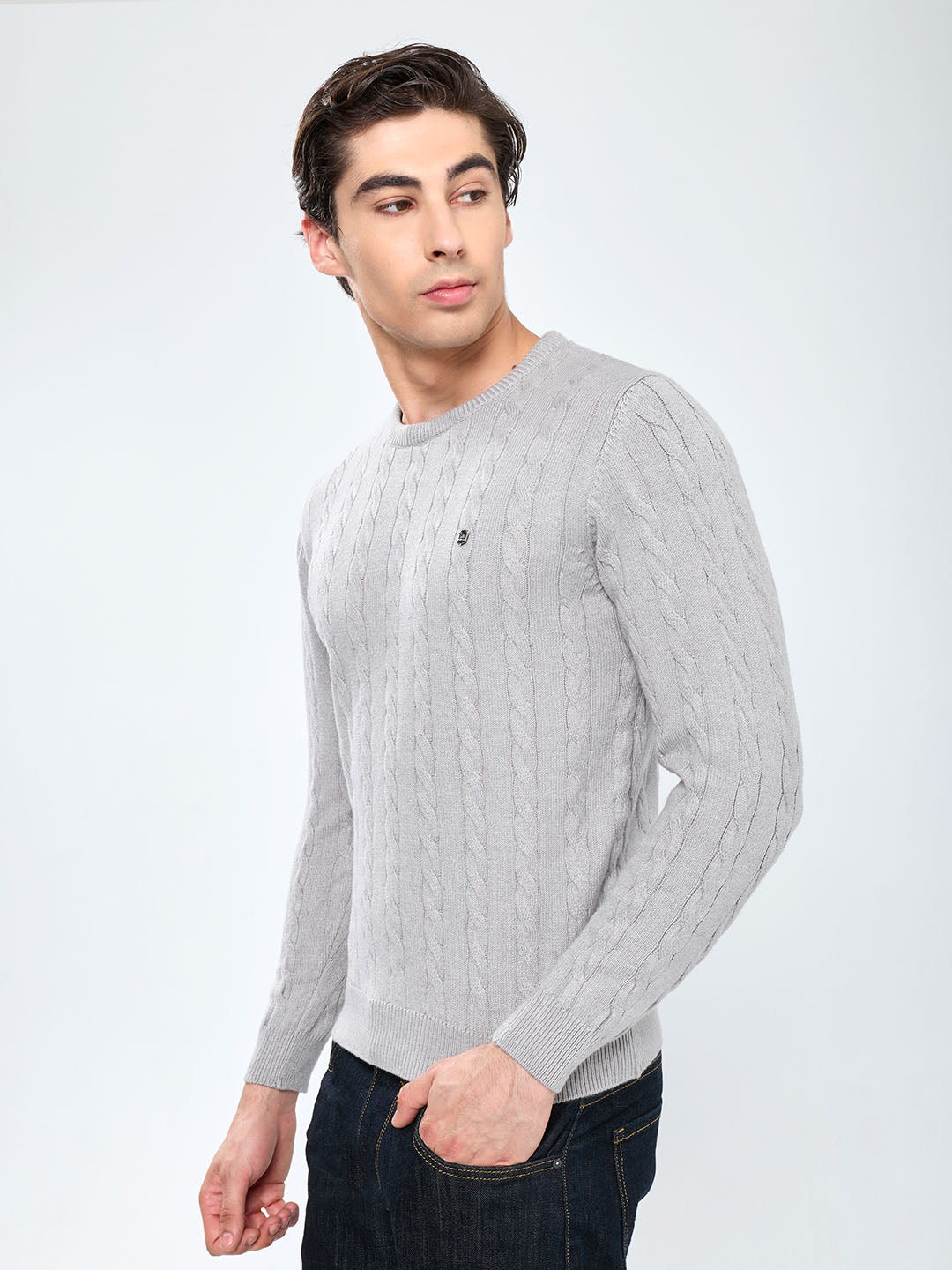 Men Grey Self Design Round Neck Full Sleeve Pullover