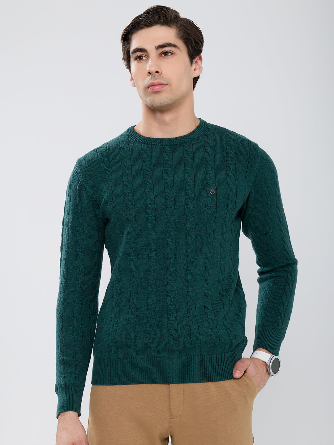 Men Green Self Design Round Neck Full Sleeve Pullover