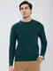 Men Green Self Design Round Neck Full Sleeve Pullover