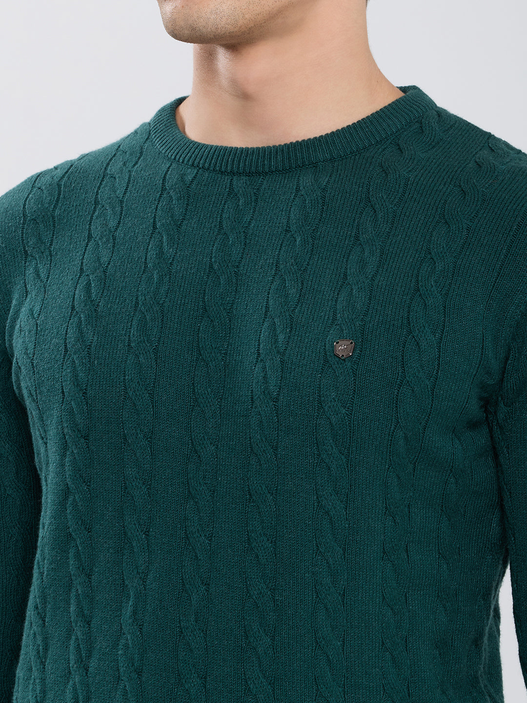 Men Green Self Design Round Neck Full Sleeve Pullover
