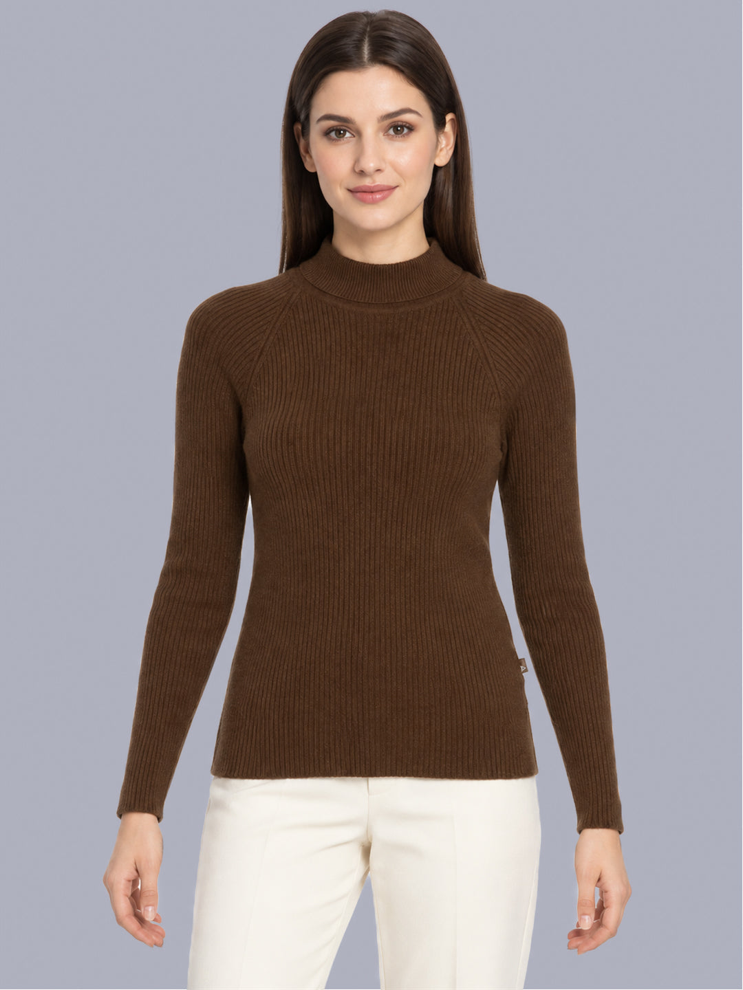 Women Brown Solid High Neck Full Sleeve Sceavy