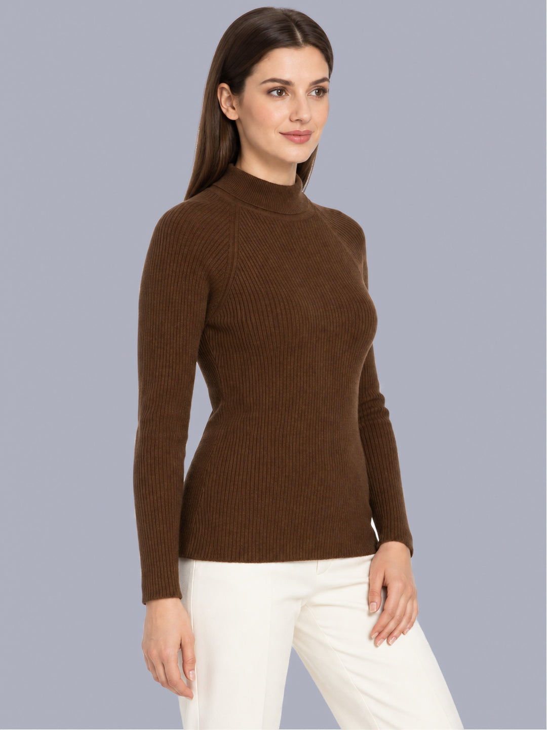 Women Brown Solid High Neck Full Sleeve Sceavy