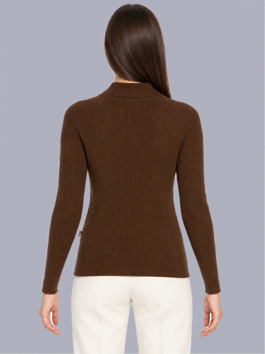 Women Brown Solid High Neck Full Sleeve Sceavy