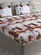 495 GSM Polyester King Bed 1 Bedsheet with 2 Pillow Cover (Gold Mine)