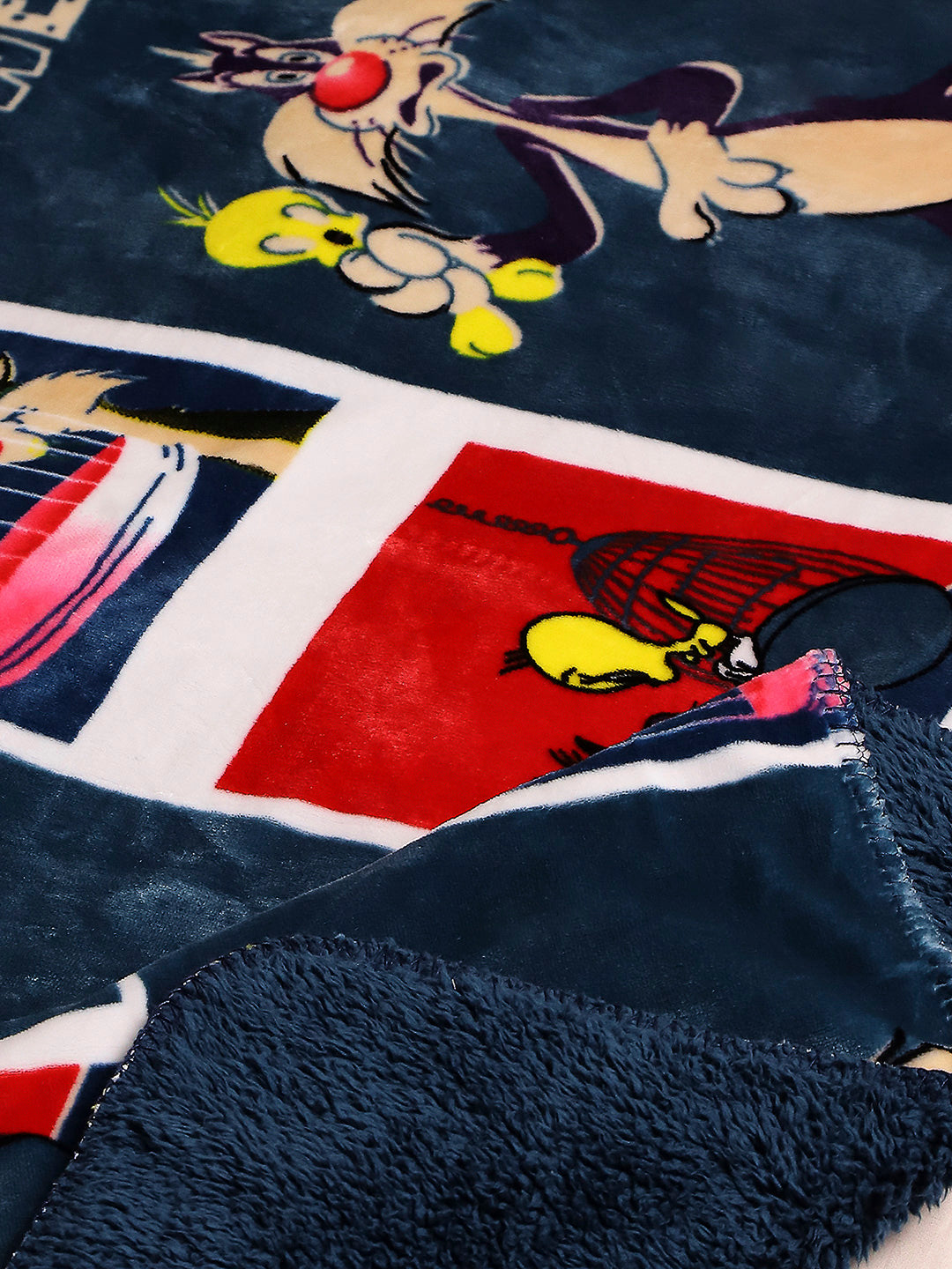 Printed Baby Blanket 2 Ply, 520 GSM, 0.8 kg (Charlie)