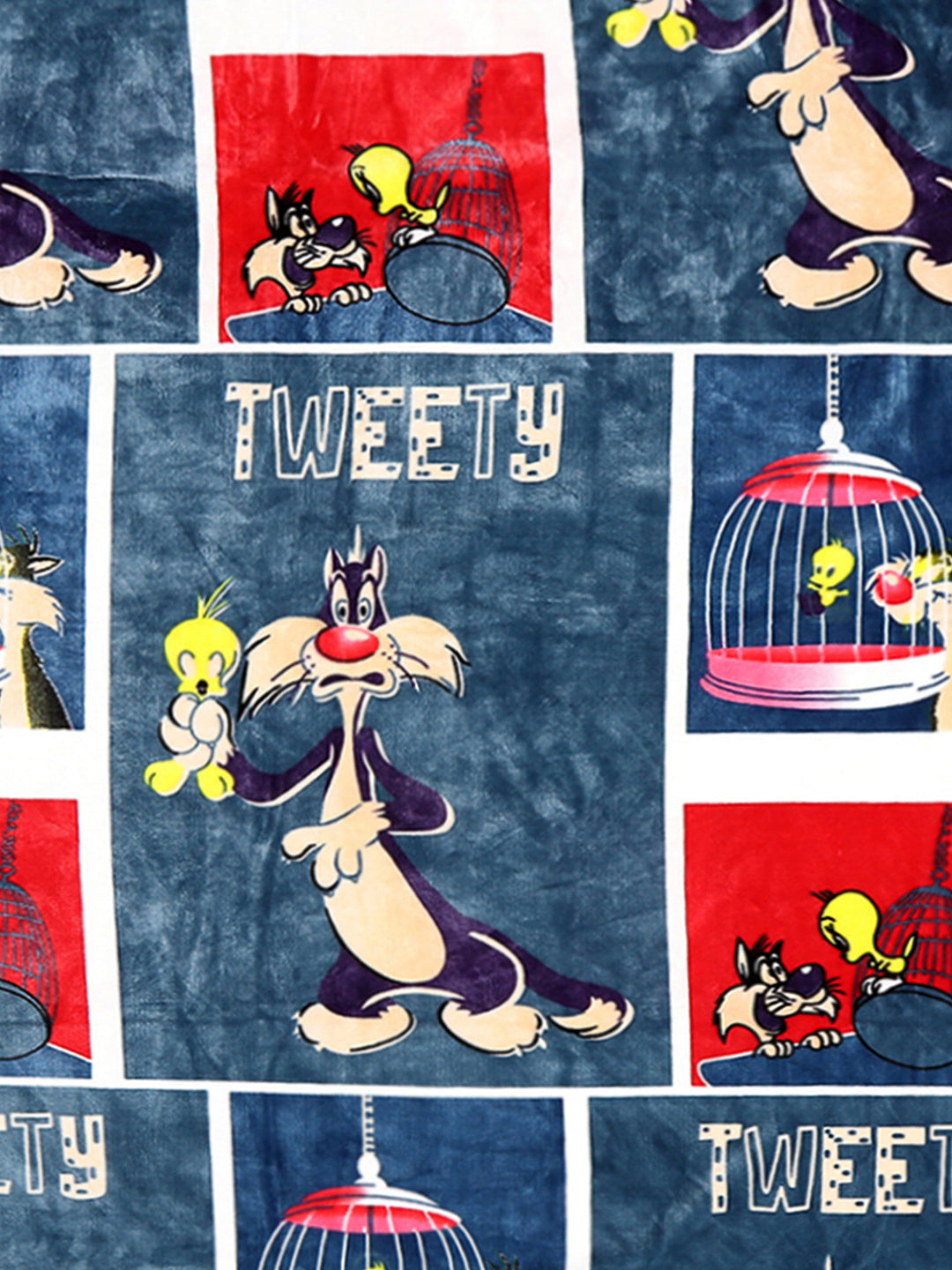 Printed Baby Blanket 2 Ply, 520 GSM, 0.8 kg (Charlie)