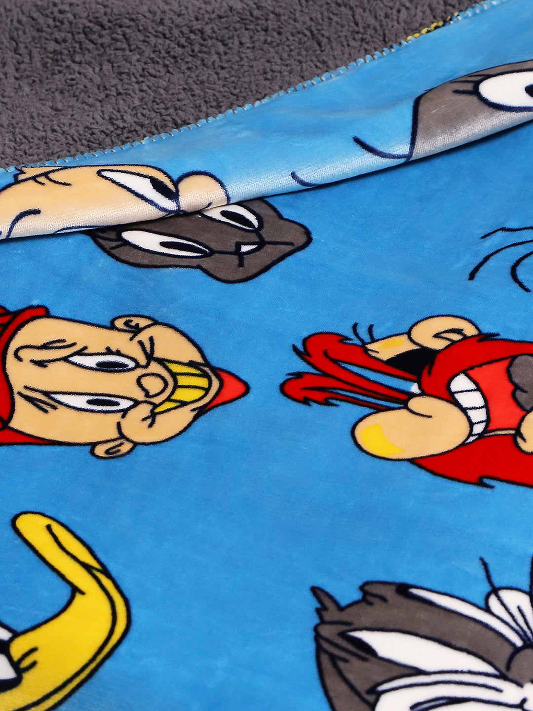 Printed Baby Blanket 2 Ply, 520 GSM, 0.8 kg (Charlie)