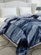 Printed Double Bed 1 Ply, 606 GSM Blanket for Mild Winter - (Denny PVC)