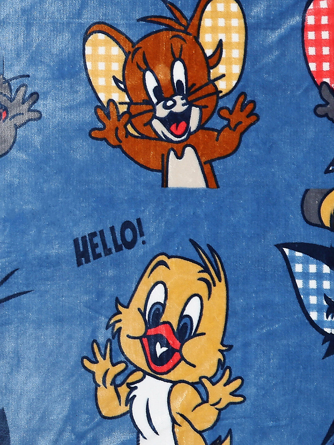 Printed Baby Blanket 2 Ply, 550 GSM, Weight 0.48 kg (Fairy Tale)