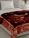 Printed Single Bed 2 Ply, 895 GSM Blanket for Heavy Winter - (Lavish Pvc)