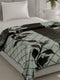 Printed Single Bed 2 Ply, 895 GSM Blanket for Heavy Winter - (Lavish Pvc)
