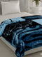 Printed Single Bed 2 Ply, 895 GSM Blanket for Heavy Winter - (Lavish Pvc)