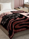 Printed Single Bed Reversible Blanket 2 Ply, 895 GSM, 3.15 kg (Lavish)