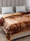 Printed Double Bed 2 Ply, 871 GSM Blanket for Heavy Winter - (Moon Valley Box)