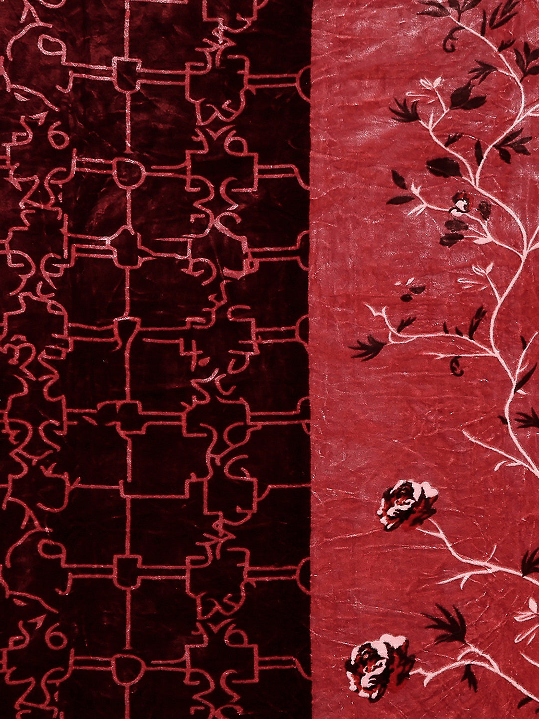 Printed Double Bed Reversible Blanket 2 Ply, 872 GSM, 4.6 kg (Moonvalley)