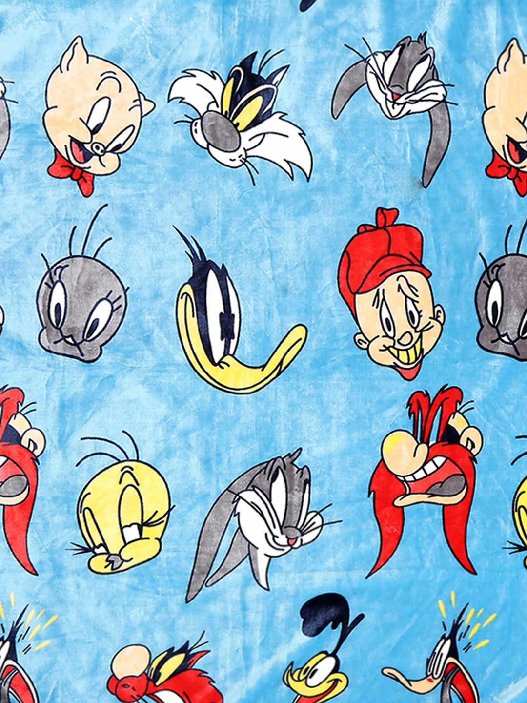 Printed Baby Blanket 2 Ply, 650 GSM, 1 kg (Oliver)