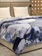 Printed Double Bed Blanket 1 Ply, 550 GSM, 2.9 kg (Roman)