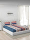 120 GSM Polyester Queen Bed 1 Bedsheet with 2 Pillow Covers (Dazzle)