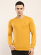 Men Yellow Solid Round Neck Full Sleeve Winter T-Shirt