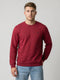 Men Maroon Embroidered Round Neck Full Sleeve T-Shirt