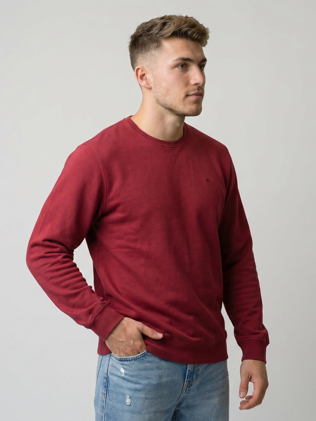Men Maroon Embroidered Round Neck Full Sleeve T-Shirt
