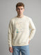 Men Yellow Printed Round Neck Full Sleeve Sweatshirt