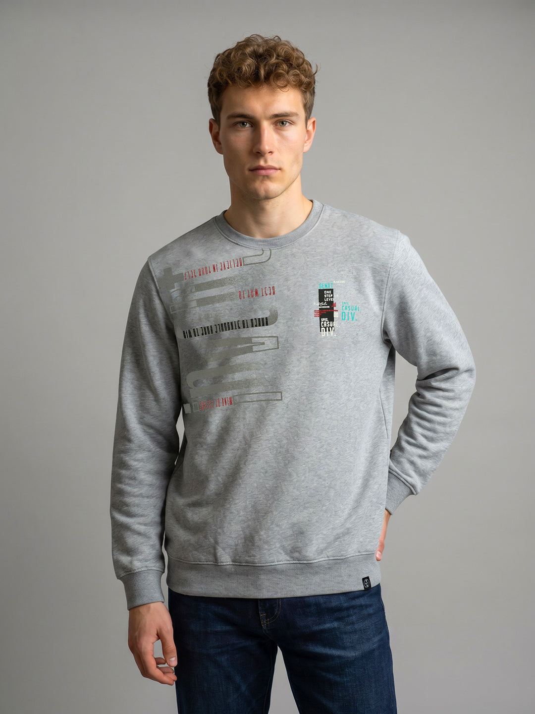 Men Grey Printed Round Neck Full Sleeve Sweatshirt