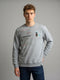 Men Grey Printed Round Neck Full Sleeve Sweatshirt