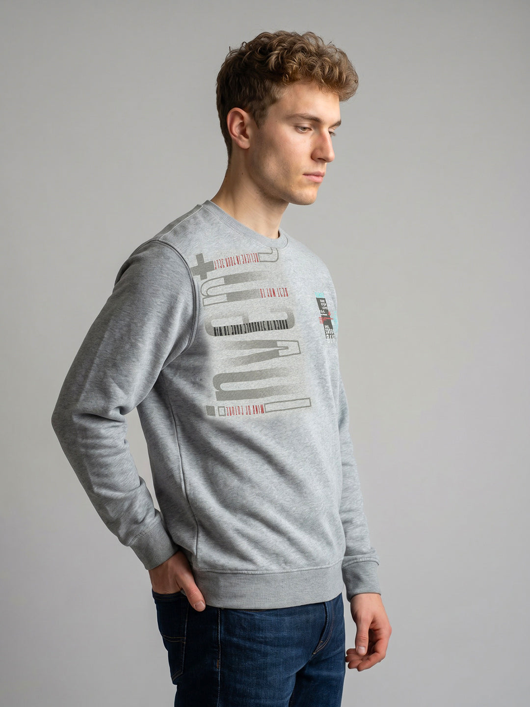 Men Grey Printed Round Neck Full Sleeve Sweatshirt