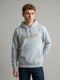 Men Grey Back Printed Hooded Full Sleeve Sweatshirt
