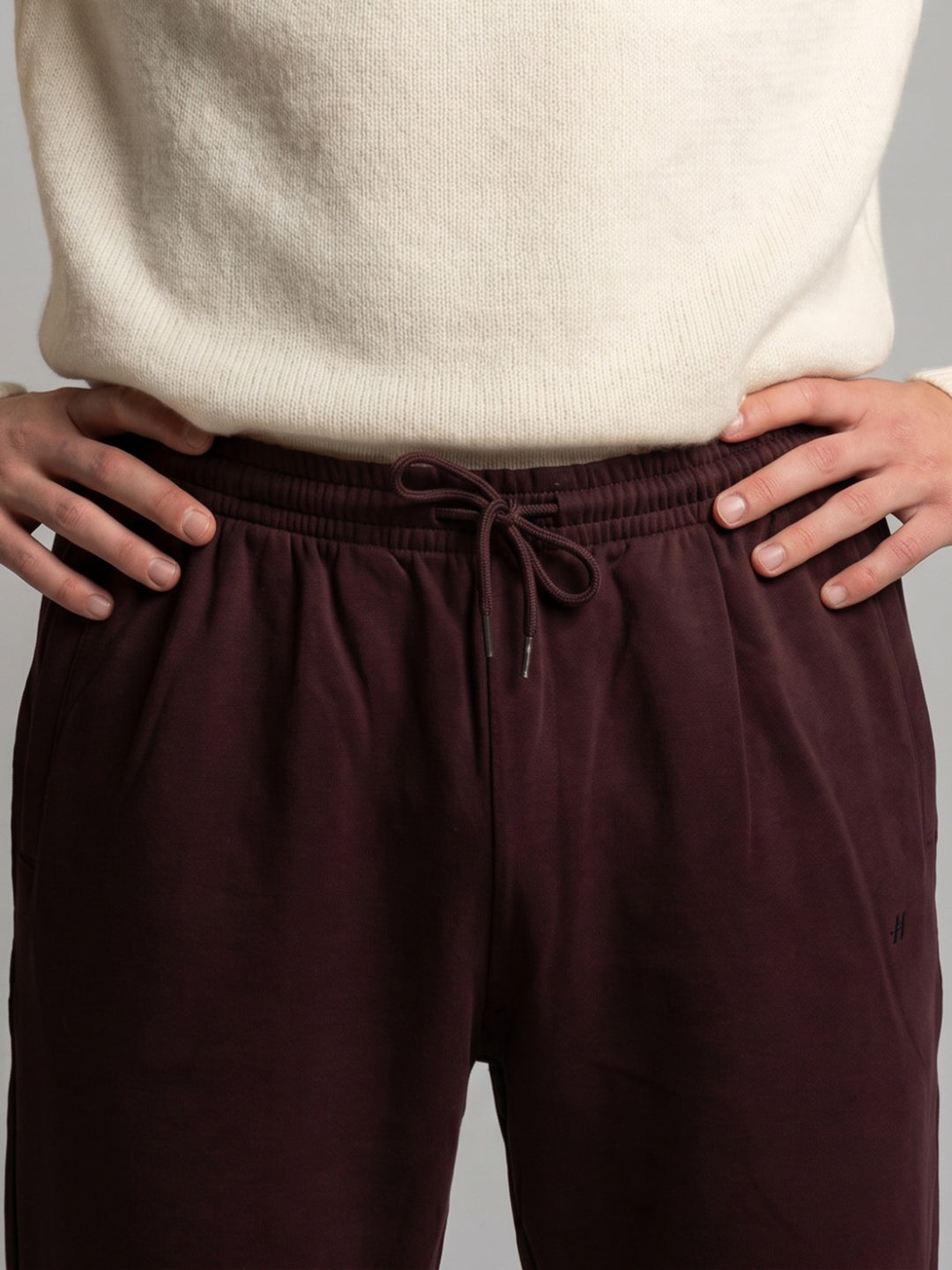 Men Maroon Solid Regular Fit Lower