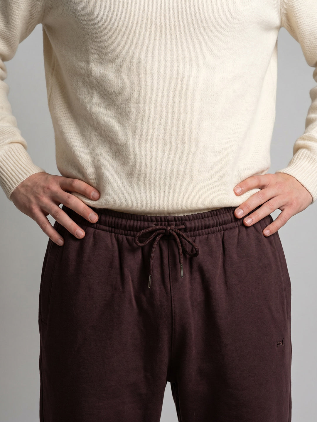 Men Maroon Solid Regular Fit Lower