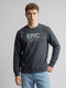Men Grey Solid Round Neck Full Sleeve T-Shirt