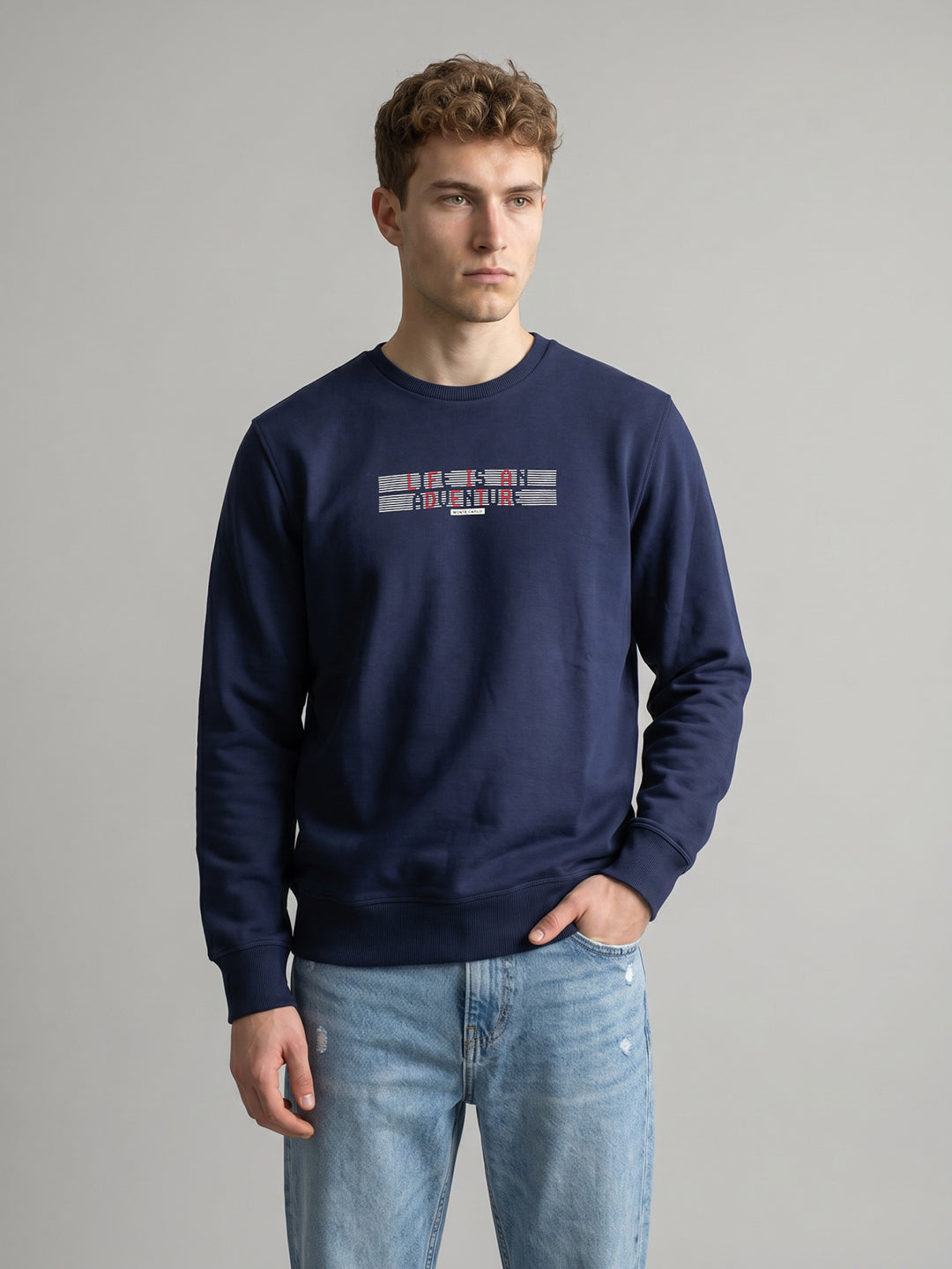 Men Blue Printed Round Neck Full Sleeve Sweatshirt