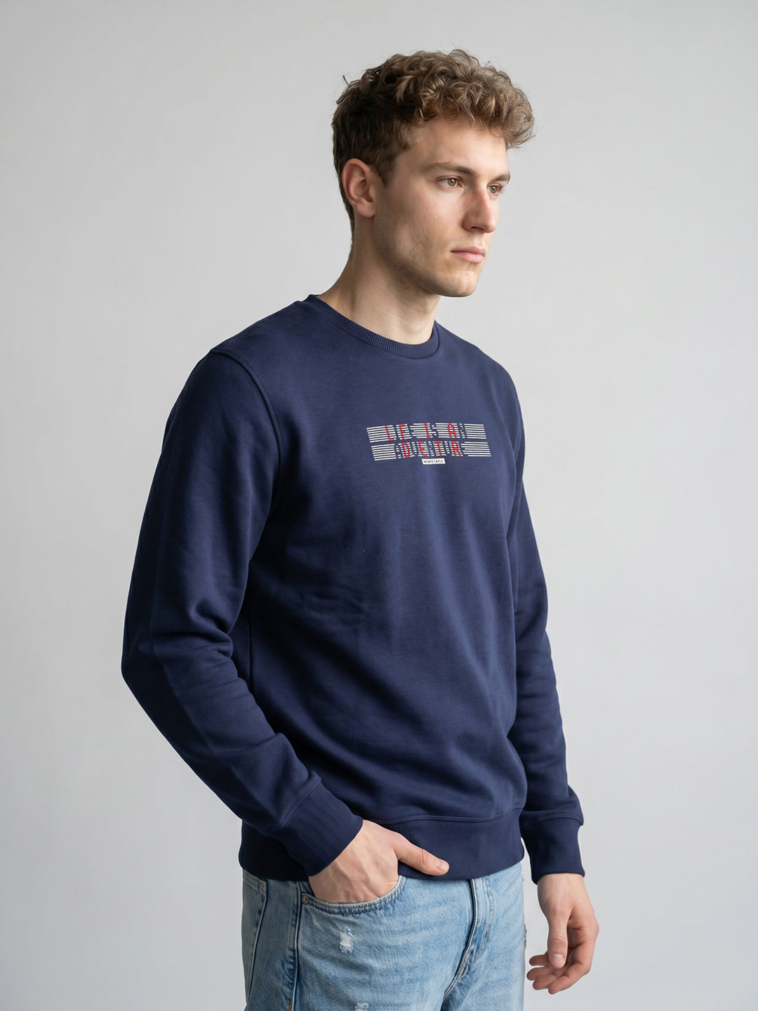Men Blue Printed Round Neck Full Sleeve Sweatshirt