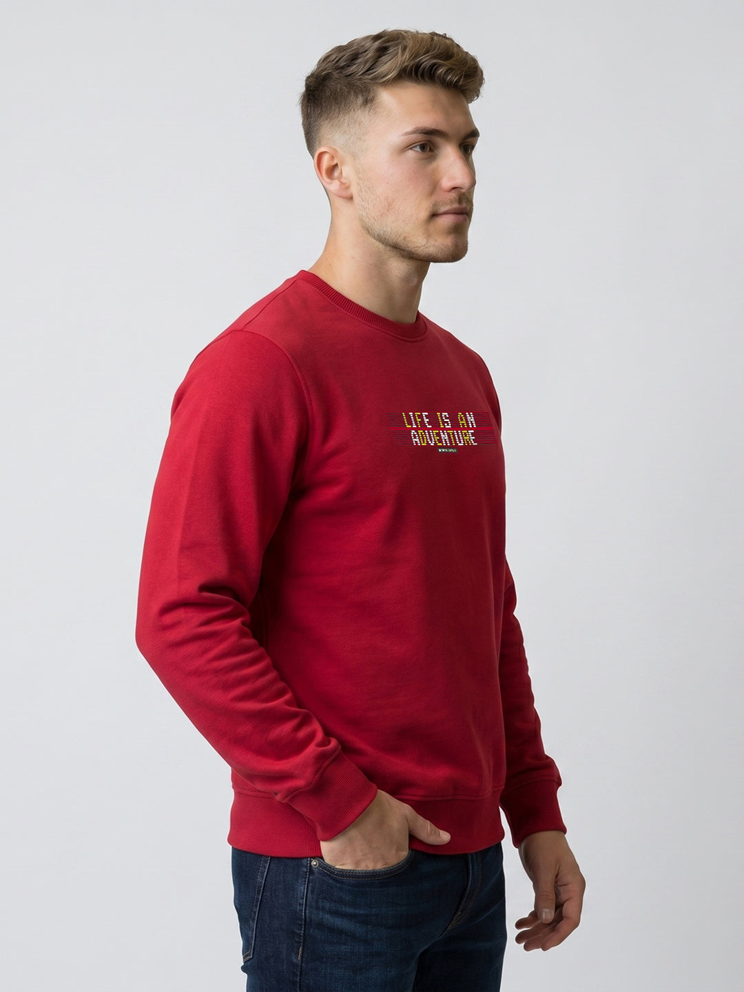 Men Blue Printed Round Neck Full Sleeve Sweatshirt