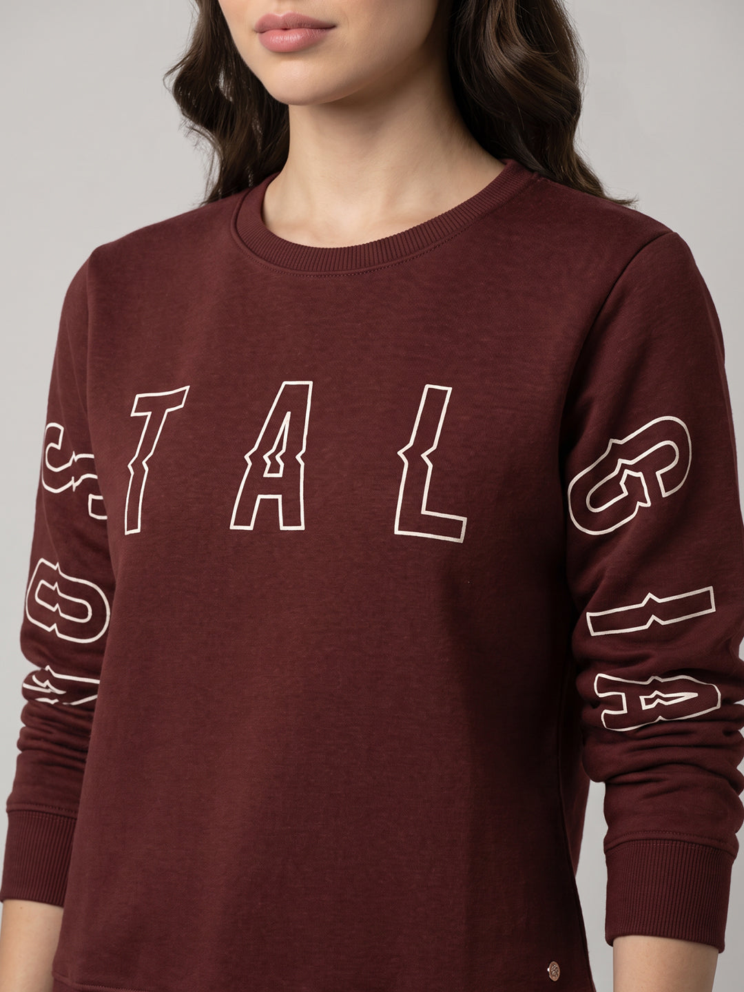 Women Brown Self Design Round Neck Full Sleeve Sweatshirt