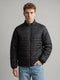 Rock.it Men Light Green Solid Collar Full Sleeve Puffer Jacket
