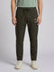 Men Olive Solid Regular Fit Lower