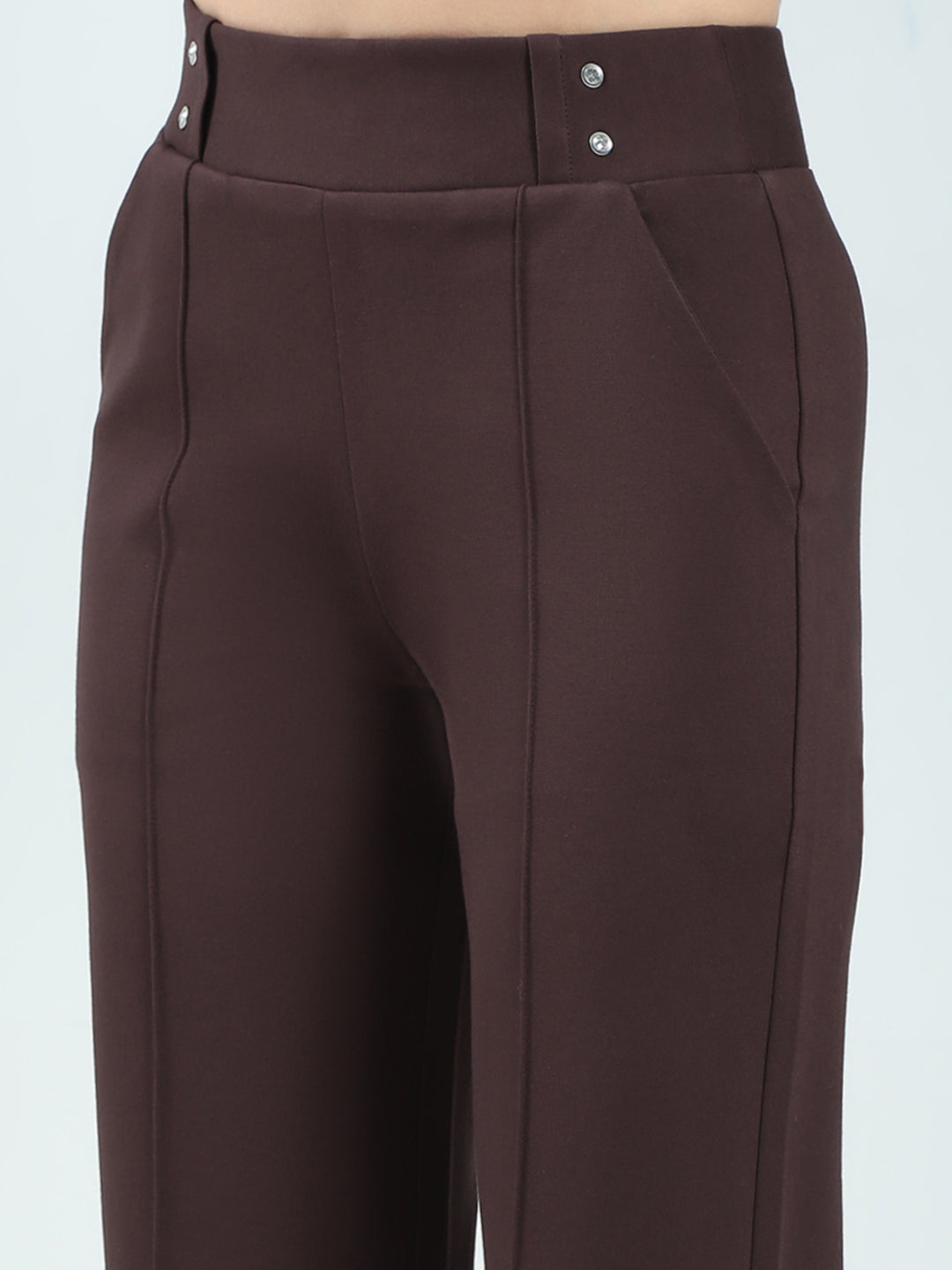 Women Brown Plain Regular Fit Jegging