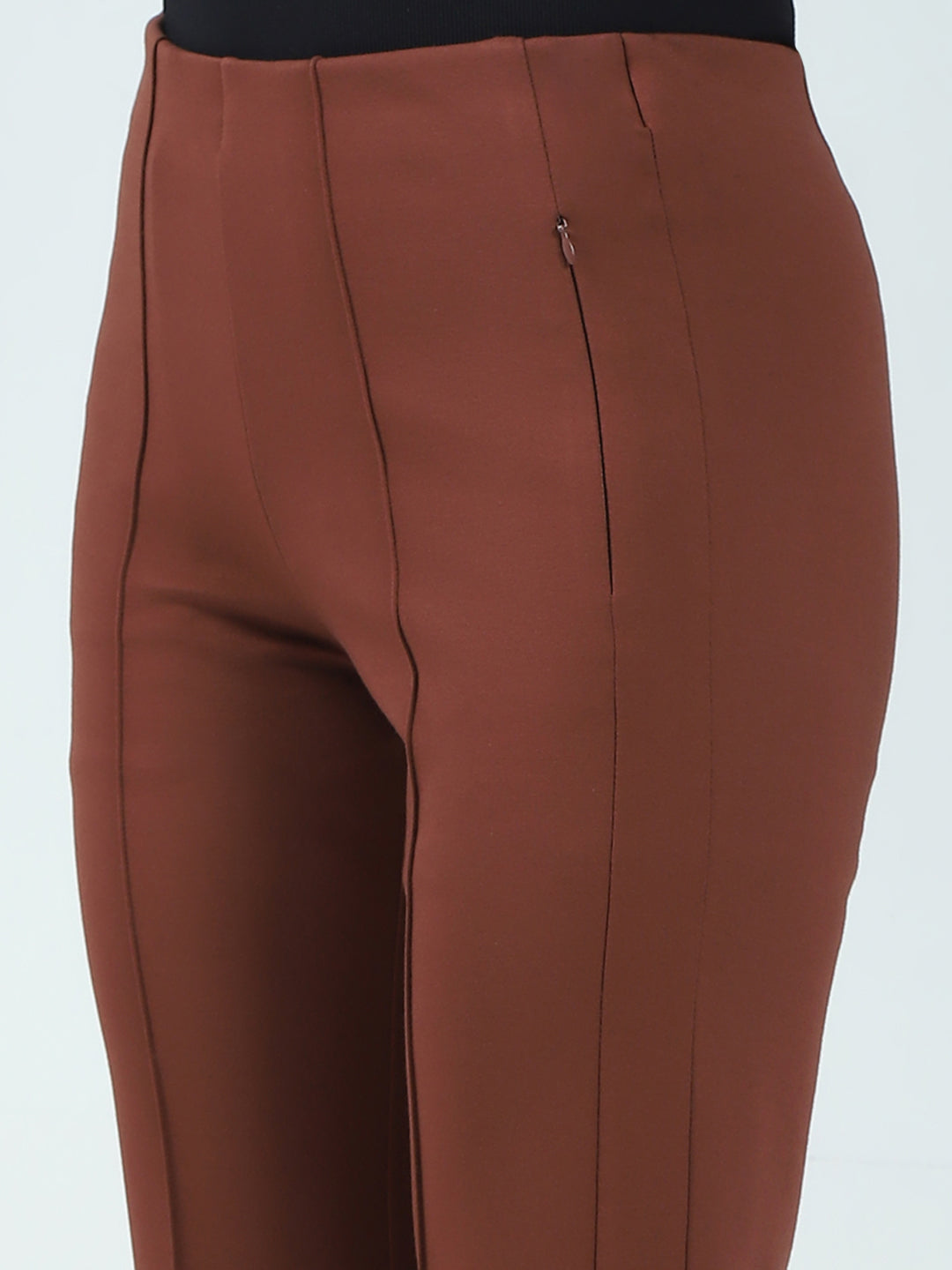 Women Brown Solid Regular Fit Jegging