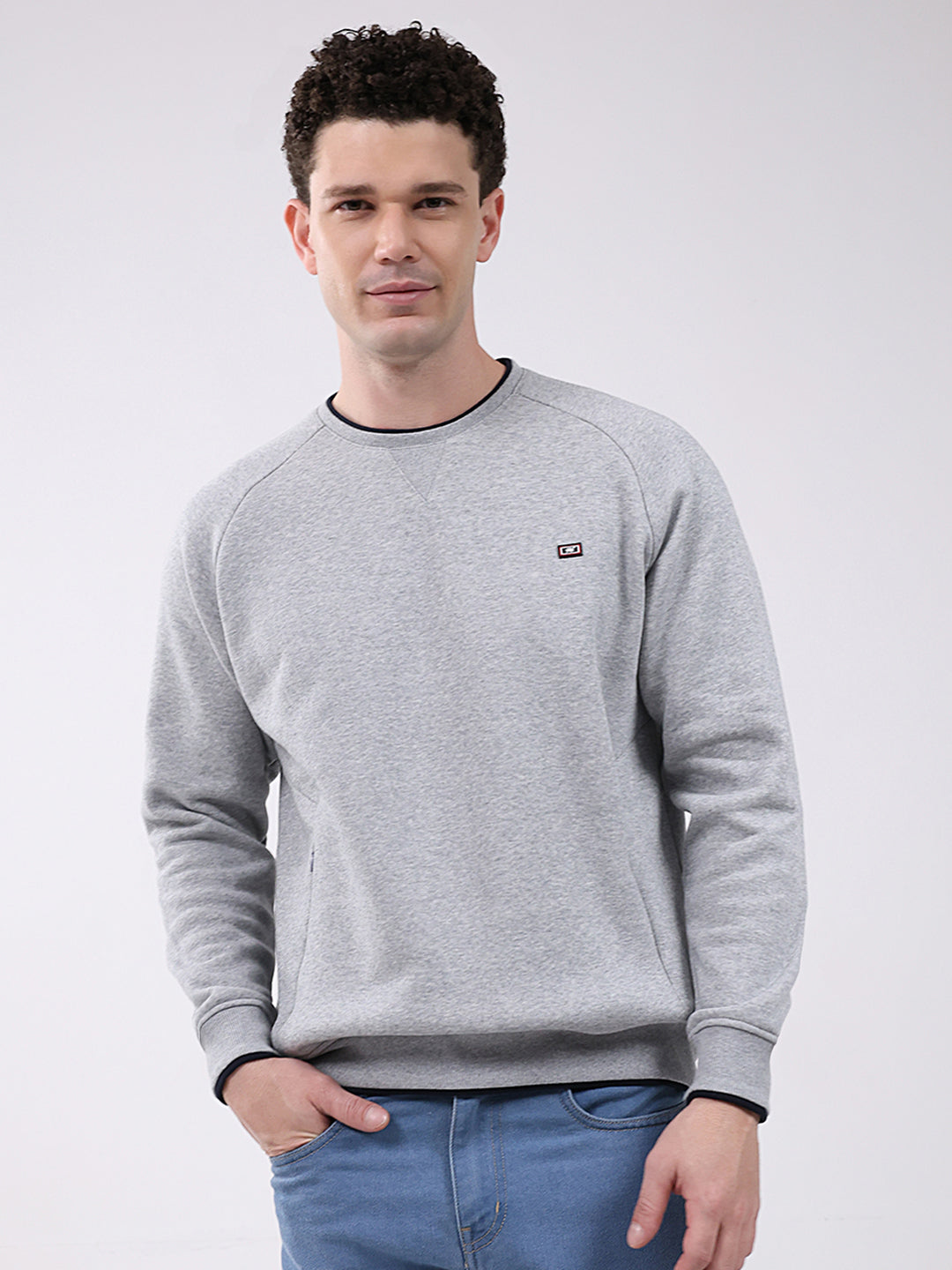 Men Grey Printed Round Neck Full Sleeve Sweatshirt