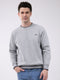 Men Grey Printed Round Neck Full Sleeve Sweatshirt