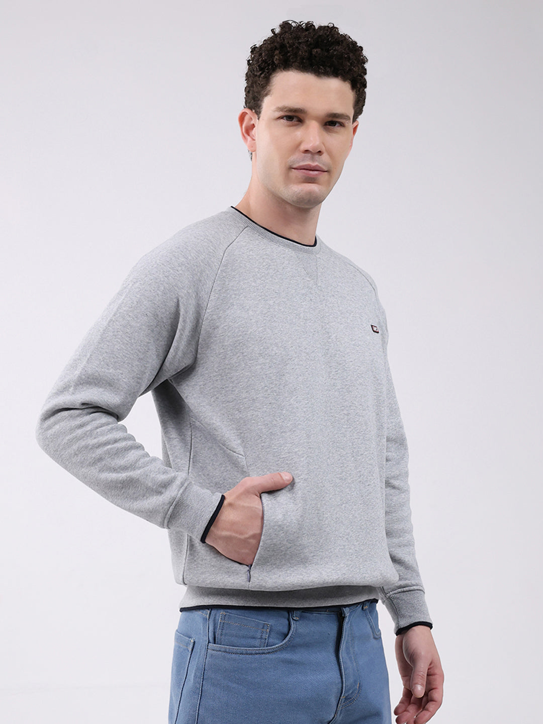 Men Grey Printed Round Neck Full Sleeve Sweatshirt