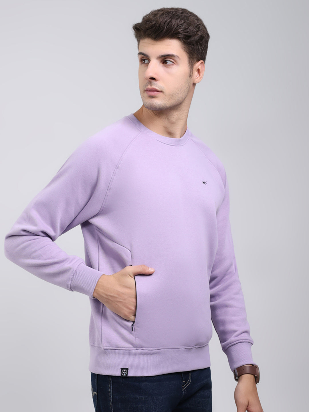 Men Purple Solid Round Neck Full Sleeve Sweatshirt
